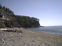 wp57f61ca5.jpg
